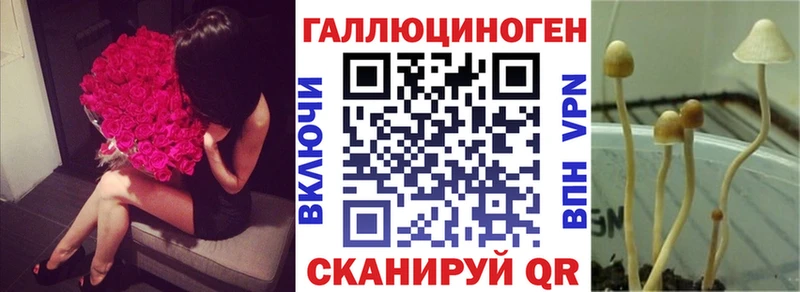 Галлюциногенные грибы Cubensis  как найти закладки  Боровичи 