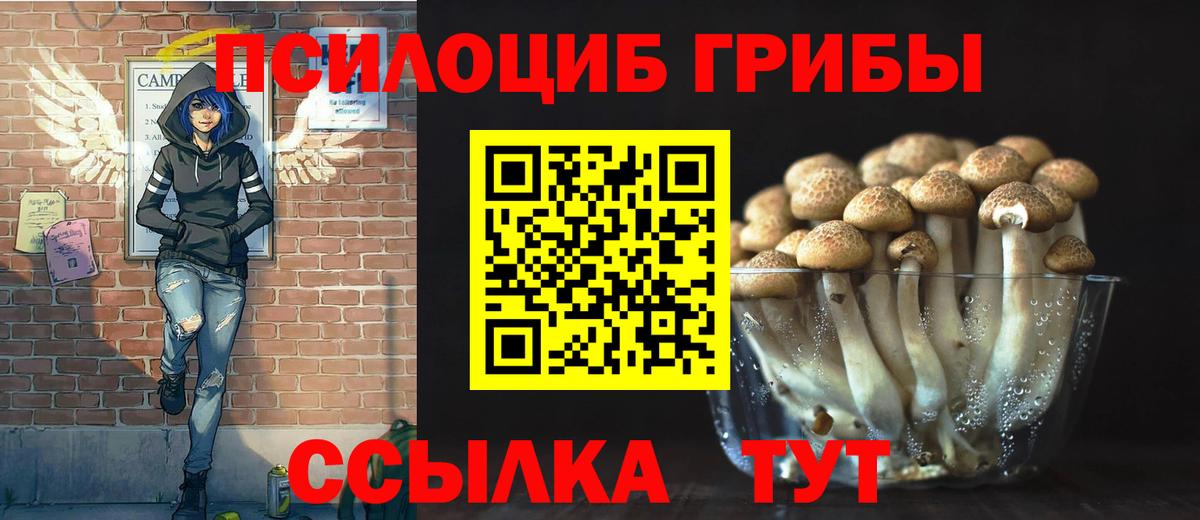 Галлюциногенные грибы Psilocybine cubensis  Вход с VPN  Боровичи 